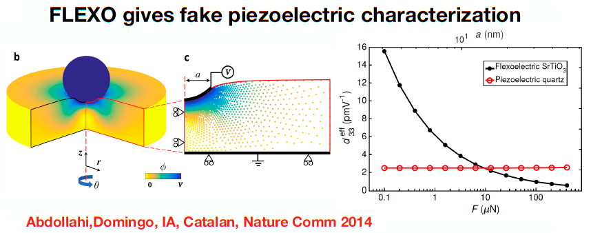 Fundamental manifestation of flexoelectricity in strain and electric field singularities: cracks, ferroelectric domain walls, creasing, AFM: